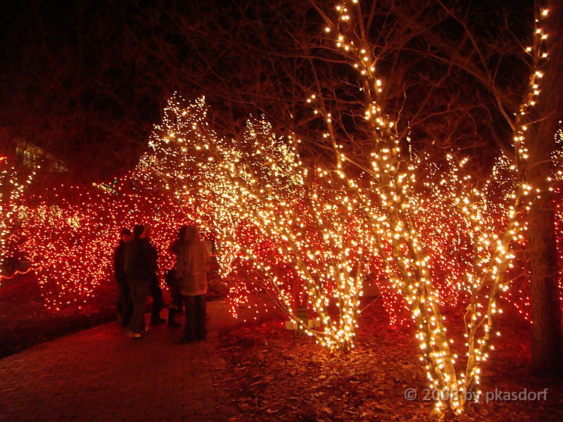 035 Toledo Zoo Light Show [2008 Dec 27].JPG - Scenes from the Toledo Zoo Light Show.